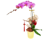 /en/s/product_short/CRO20105A4